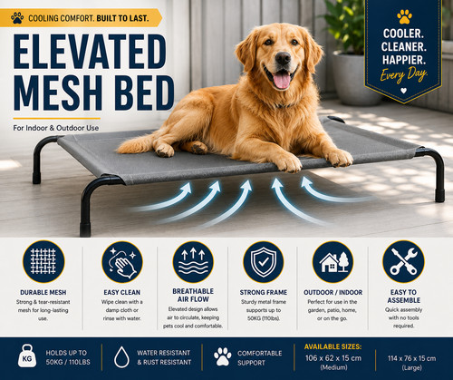 Raised dog bed - dog, elevated