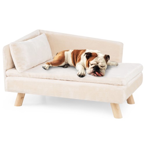 Elevated pet bed for medium - pet, &
