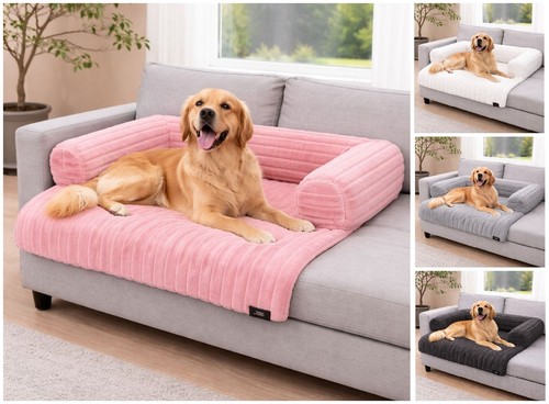 Pet dog bed - pet, floor