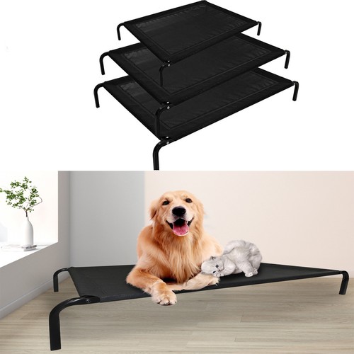 Elevated dog bed - dog,