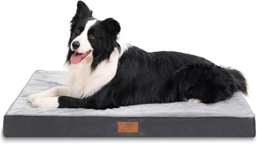 Large orthopedic dog bed with - orthopedic,