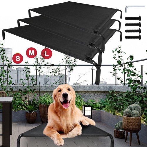 Metal frame dog cot - metal, elevated