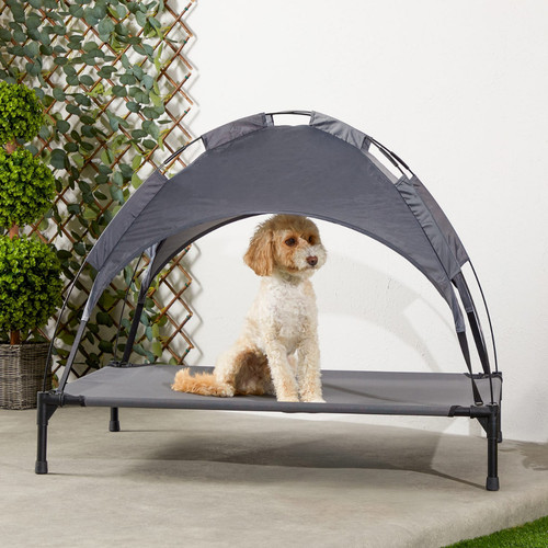 Large raised dog - raised, pet