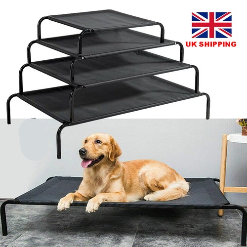 Large elevated dog pet - dog, bed