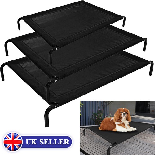 Elevated dog bed - dog,