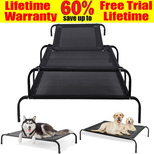 Elevated dog bed - elevated, mesh