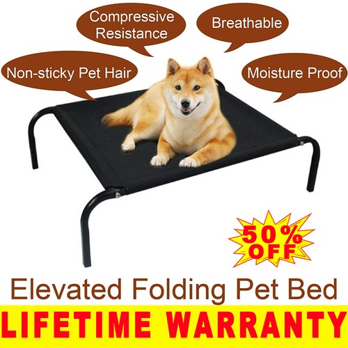 Premium dog pet - elevated, bed