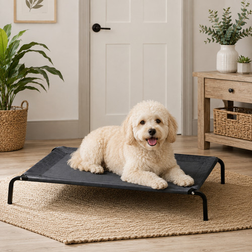 Medium large bunty raised dog - large,