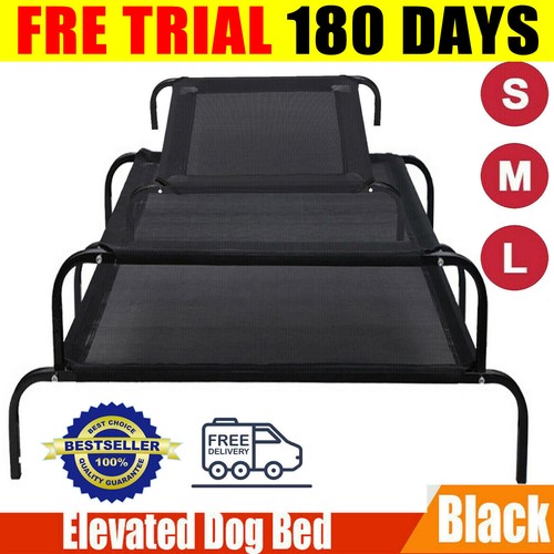 Elevated dog bed - dog, mesh