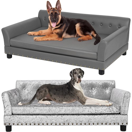 Extra large elevated dog - extra,
