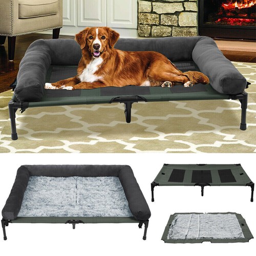 Xxl large elevated - large, dog