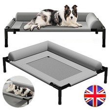 Orthopaedic Elevated Pet Dog