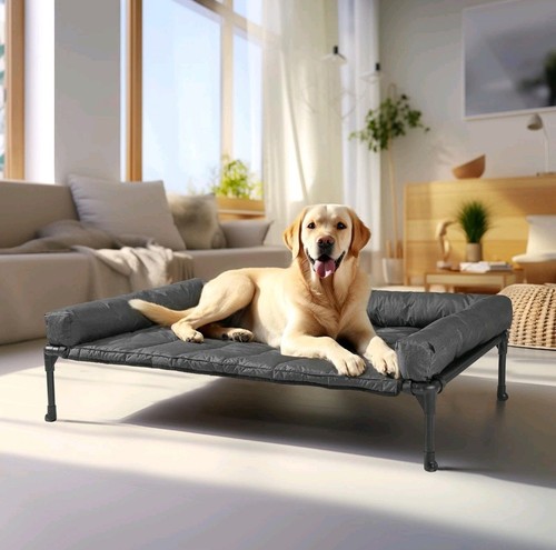 Veehoo raised dog - raised,