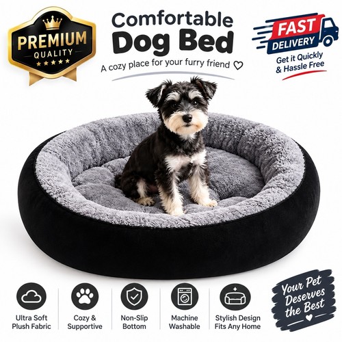 Dog bed cat - cat,