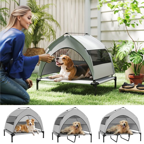 Portable elevated dog - bed, with