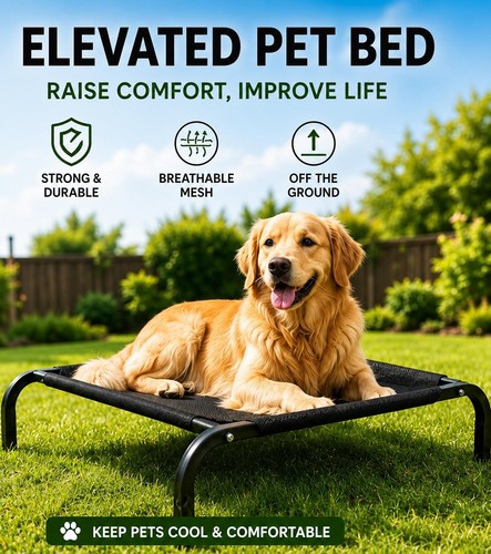 Elevated pet bed raised dog - pet,