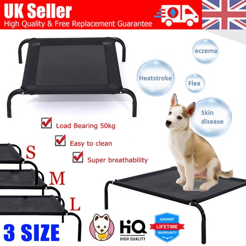Black elevated dog - pet, cat