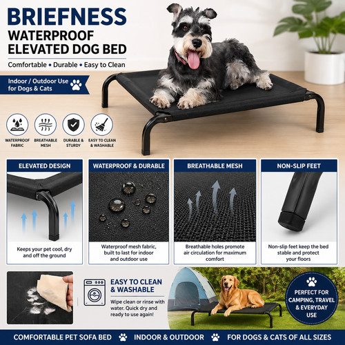 High raised dog bed - raised,