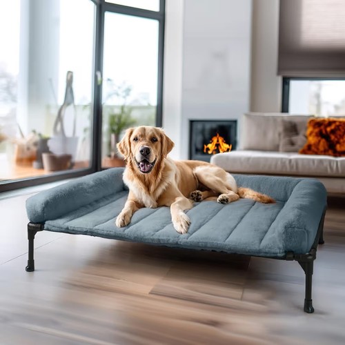 Veehoo elevated dog - dog, with