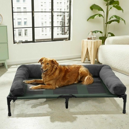 Elevated dog bed lounger sleep - elevated,