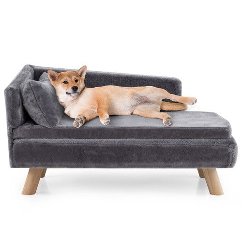 47cm elevated dog - x, x