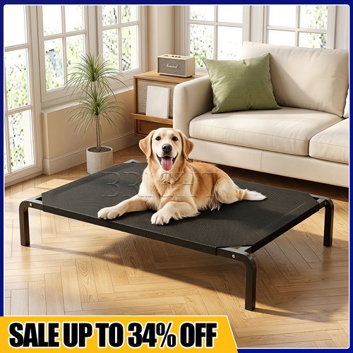 Elevated dog bed - elevated, pet