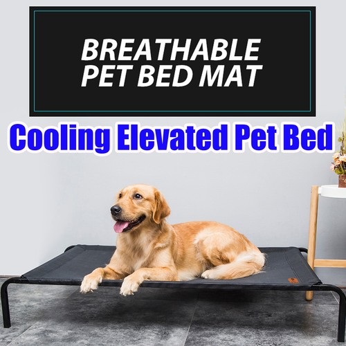Premium dog pet - dog, bed
