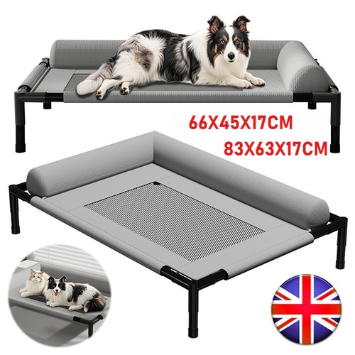 Orthopaedic elevated pet dog - pet,