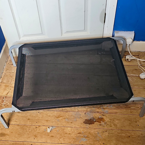 Raised portable mesh dog bed - raised,