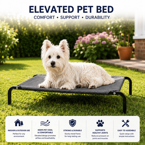 Elevated dog bed raised - dog,