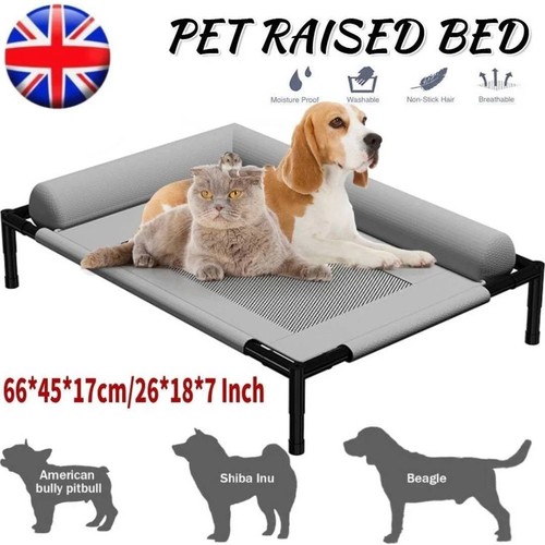Orthopaedic elevated pet dog - orthopaedic,