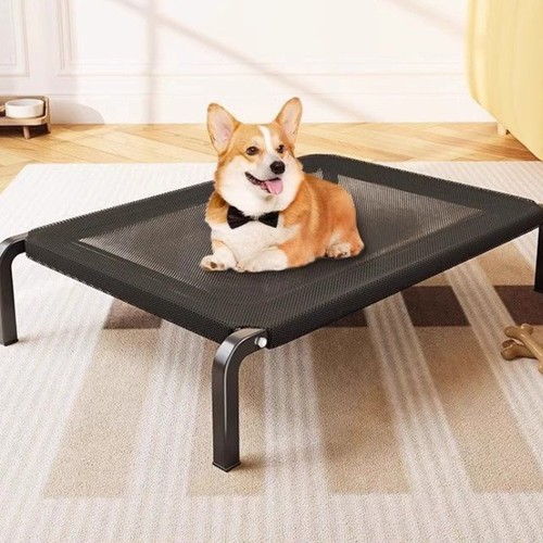 Raised elevated dog - elevated, bed