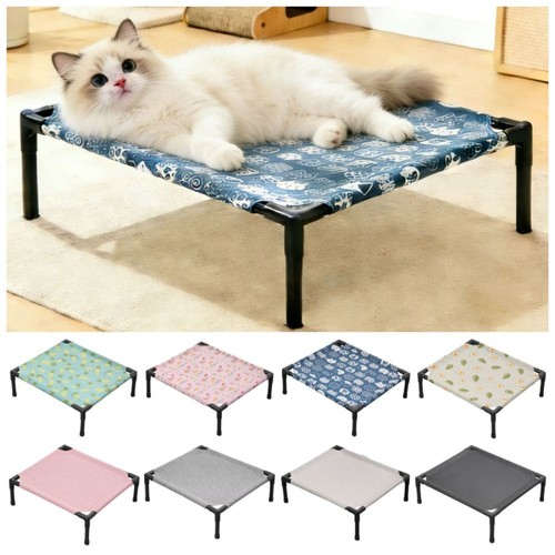 Pet dog cat - dog,