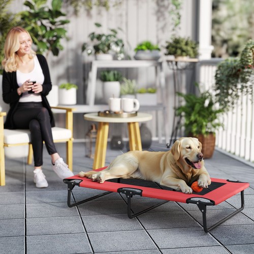 Portable raised elevated dog - raised,