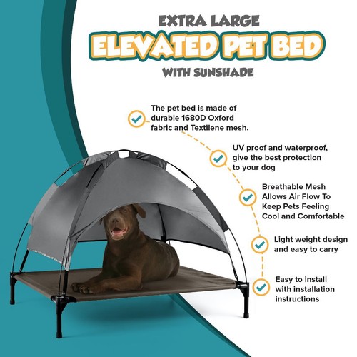 Petlicity elevated dog bed - dog,