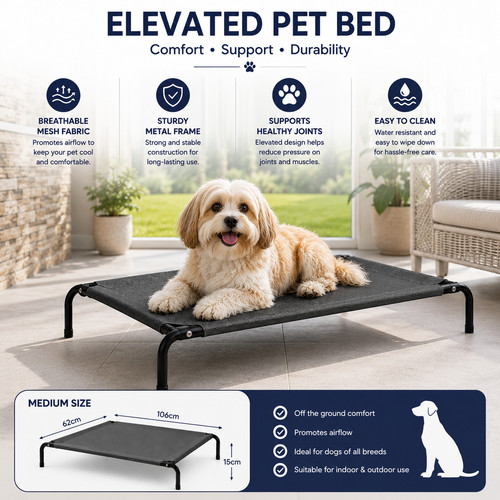 Elevated dog bed - dog, pet
