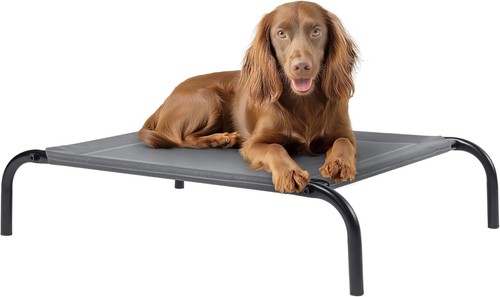 Elevated dog bed pet - dog,