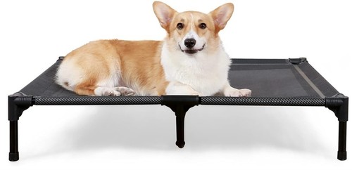 Elevated dog bed - dog,