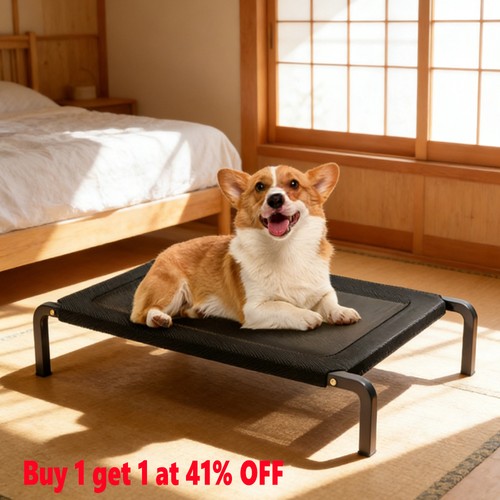 High raised dog bed - high,