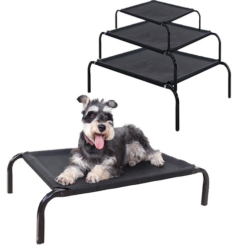 Elevated dog bed pet - dog,
