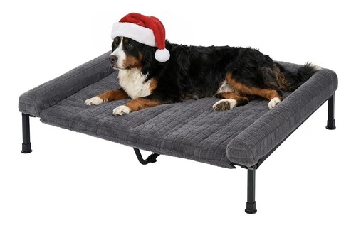 Veehoo raised elevated dog - elevated,