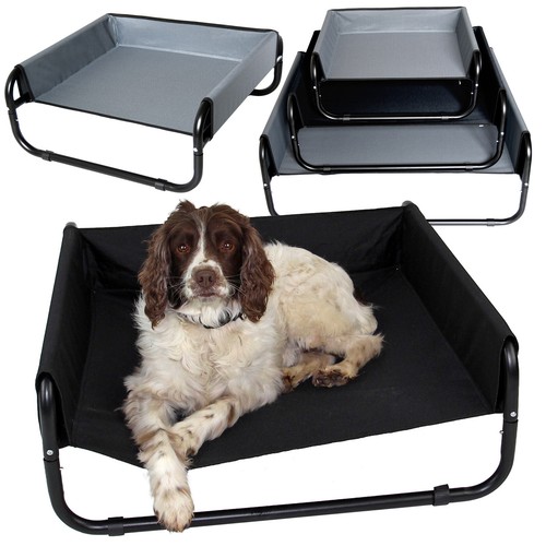 Elevated pet dog - pet, cat