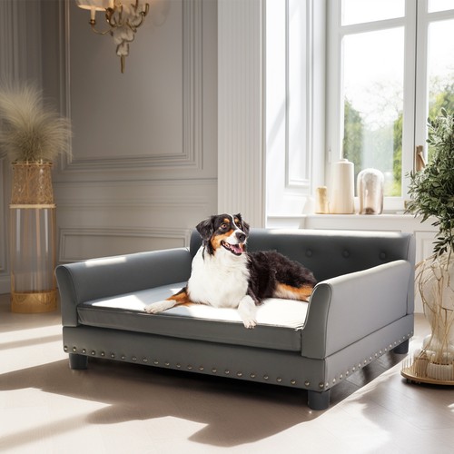 Bingopaw large elevated dog - large,