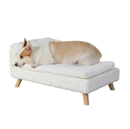 Bingopaw elevated dog - dog, sofa