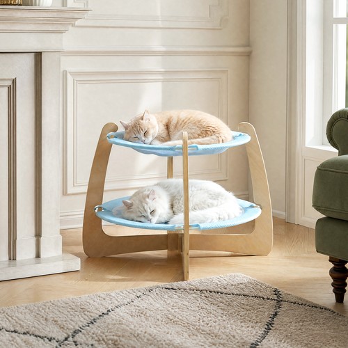 Elevated raised cat - elevated, puppy