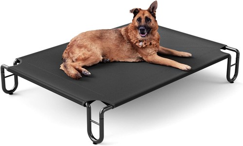 Faydudu raised dog - dog, bed