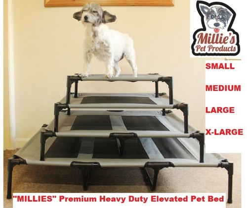 Millies elevated dog - millies,
