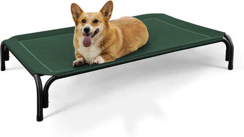 Raised dog bed - raised,