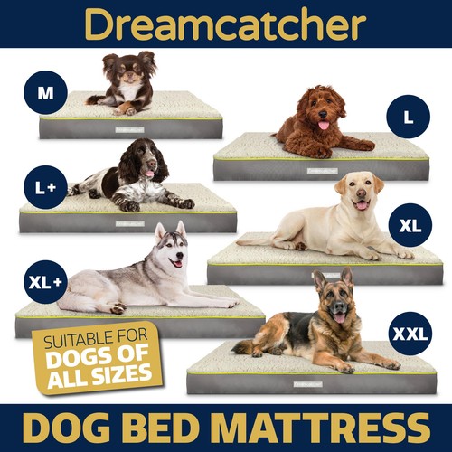 Dreamcatcher dog bed - dog,