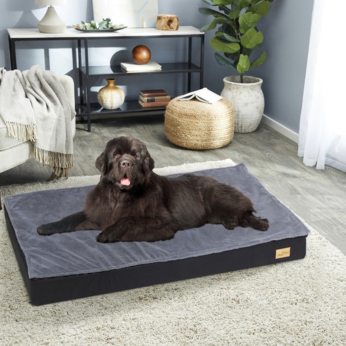 Bingopaw orthopedic dog bed - dog,